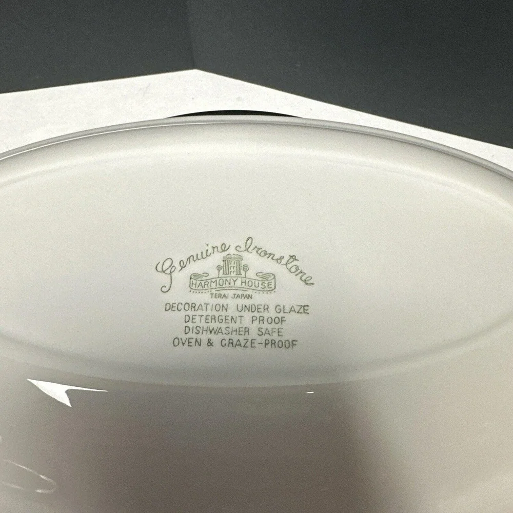 Harmony House Tierra Ironstone Gravy Boat With Ladle And Underplate 4251 Vtg